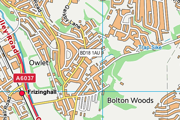 BD18 1AU map - OS VectorMap District (Ordnance Survey)