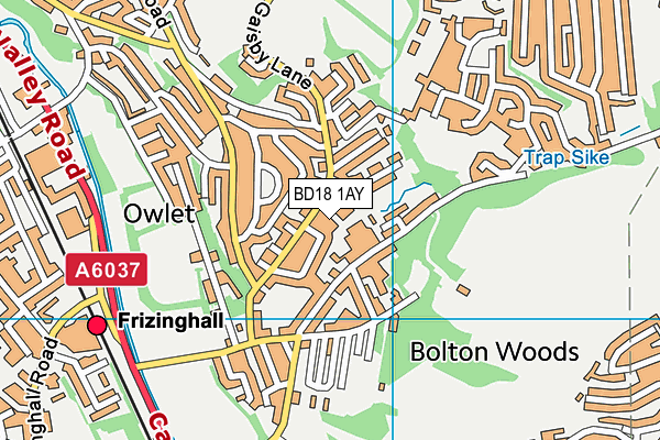 BD18 1AY map - OS VectorMap District (Ordnance Survey)