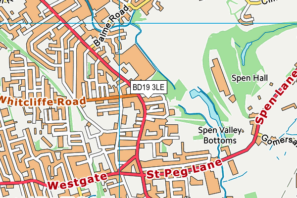 BD19 3LE map - OS VectorMap District (Ordnance Survey)