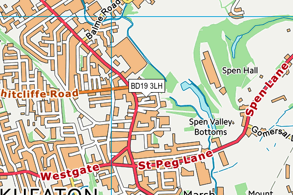 BD19 3LH map - OS VectorMap District (Ordnance Survey)