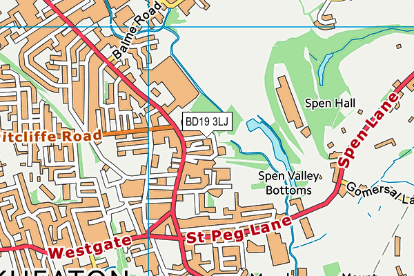 BD19 3LJ map - OS VectorMap District (Ordnance Survey)