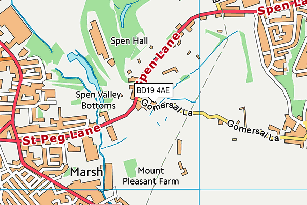 BD19 4AE map - OS VectorMap District (Ordnance Survey)