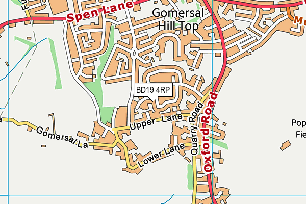 BD19 4RP map - OS VectorMap District (Ordnance Survey)