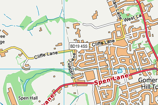 BD19 4SS map - OS VectorMap District (Ordnance Survey)