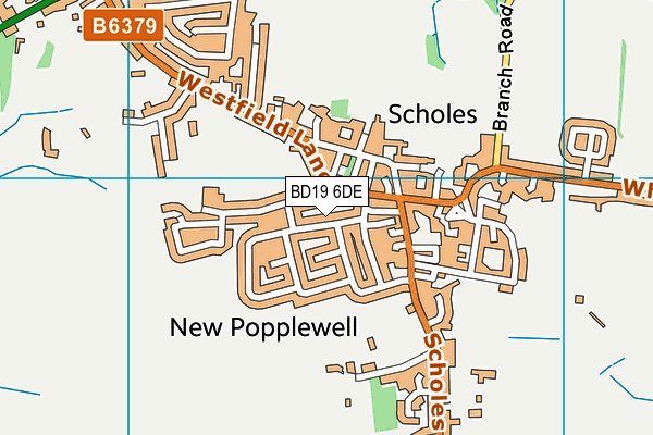 BD19 6DE map - OS VectorMap District (Ordnance Survey)