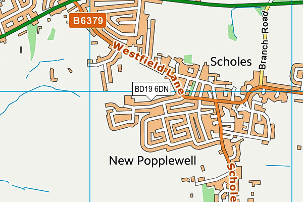 Scholes Village Primary School map (BD19 6DN) - OS VectorMap District (Ordnance Survey)