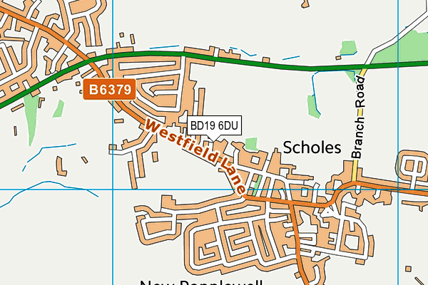 BD19 6DU map - OS VectorMap District (Ordnance Survey)