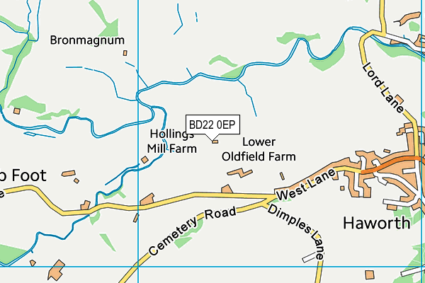 BD22 0EP map - OS VectorMap District (Ordnance Survey)