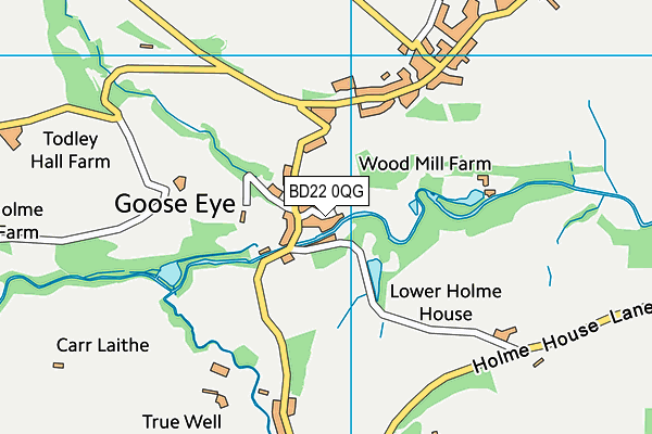 BD22 0QG map - OS VectorMap District (Ordnance Survey)