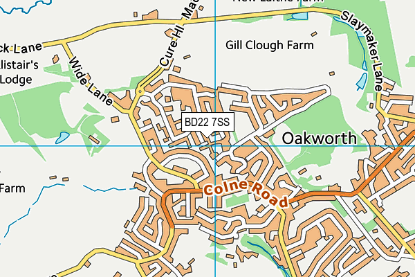 BD22 7SS map - OS VectorMap District (Ordnance Survey)