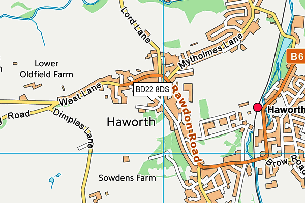 BD22 8DS map - OS VectorMap District (Ordnance Survey)