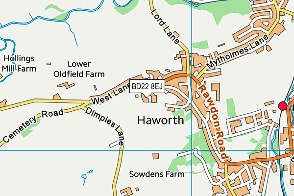 BD22 8EJ map - OS VectorMap District (Ordnance Survey)