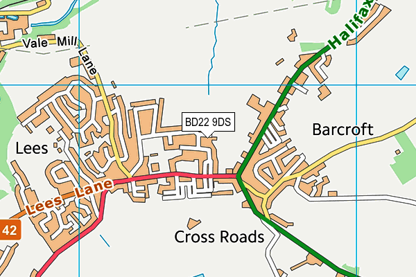 BD22 9DS map - OS VectorMap District (Ordnance Survey)