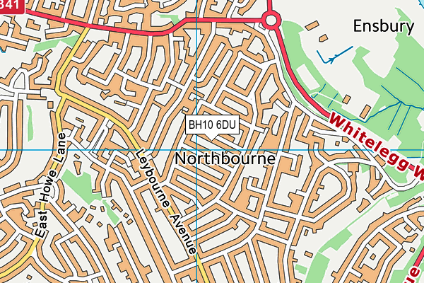 BH10 6DU map - OS VectorMap District (Ordnance Survey)