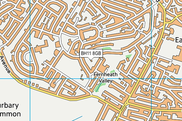 BH11 8GB map - OS VectorMap District (Ordnance Survey)