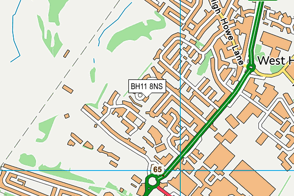 BH11 8NS map - OS VectorMap District (Ordnance Survey)