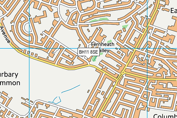 BH11 8SE map - OS VectorMap District (Ordnance Survey)