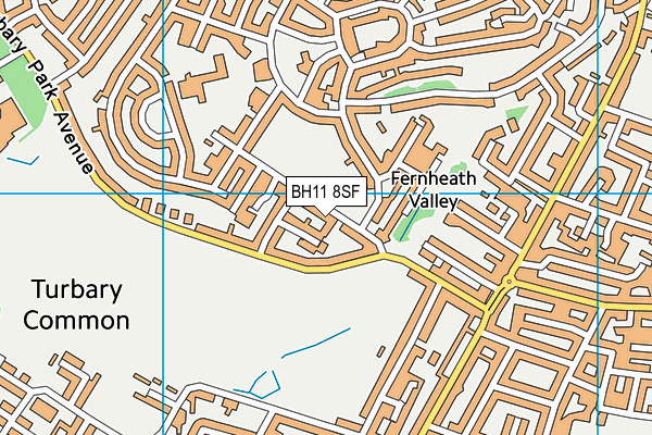 BH11 8SF map - OS VectorMap District (Ordnance Survey)