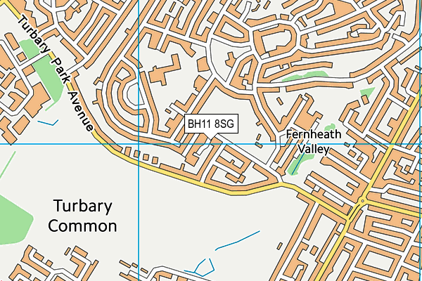 BH11 8SG map - OS VectorMap District (Ordnance Survey)