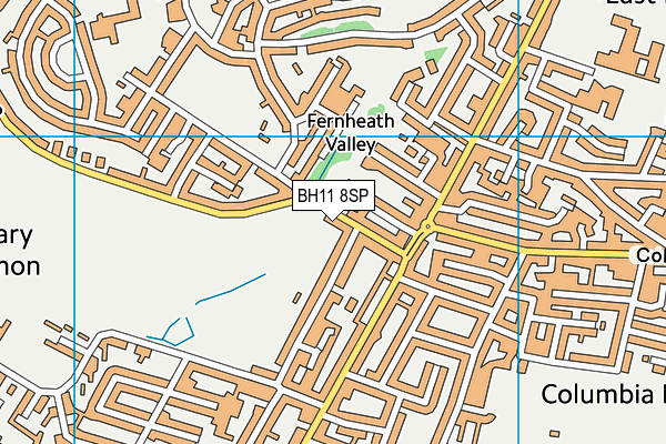 BH11 8SP map - OS VectorMap District (Ordnance Survey)