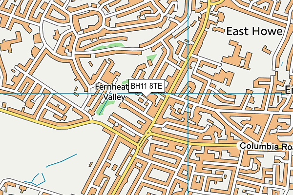 BH11 8TE map - OS VectorMap District (Ordnance Survey)
