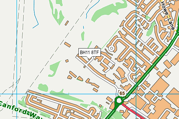 BH11 8TF map - OS VectorMap District (Ordnance Survey)