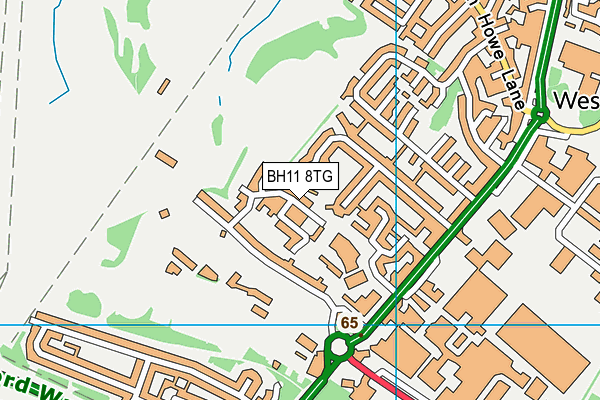 BH11 8TG map - OS VectorMap District (Ordnance Survey)
