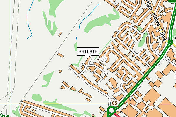 BH11 8TH map - OS VectorMap District (Ordnance Survey)