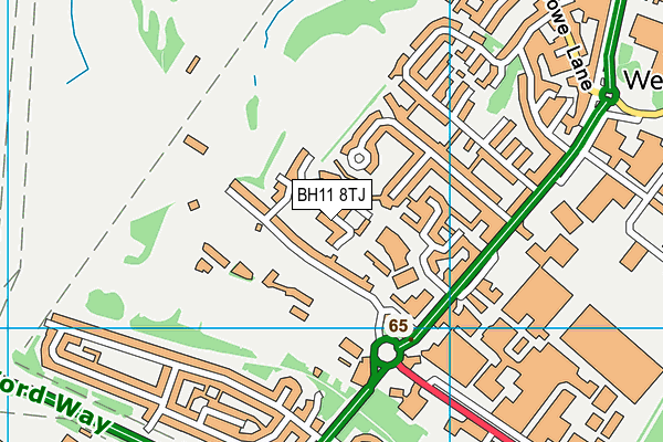 BH11 8TJ map - OS VectorMap District (Ordnance Survey)
