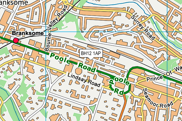 BH12 1AP map - OS VectorMap District (Ordnance Survey)