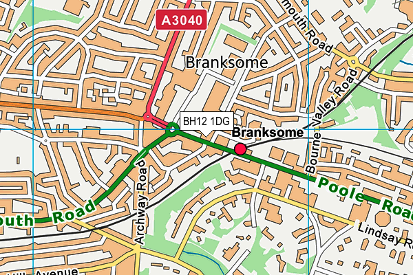 BH12 1DG map - OS VectorMap District (Ordnance Survey)