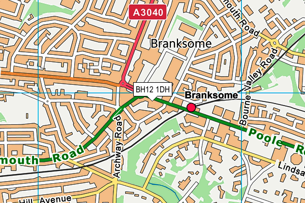 BH12 1DH map - OS VectorMap District (Ordnance Survey)