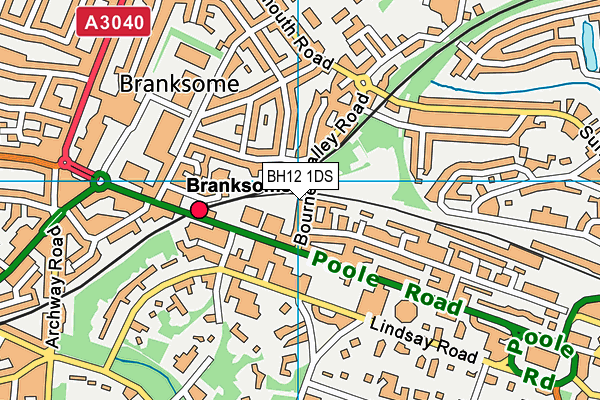 BH12 1DS map - OS VectorMap District (Ordnance Survey)