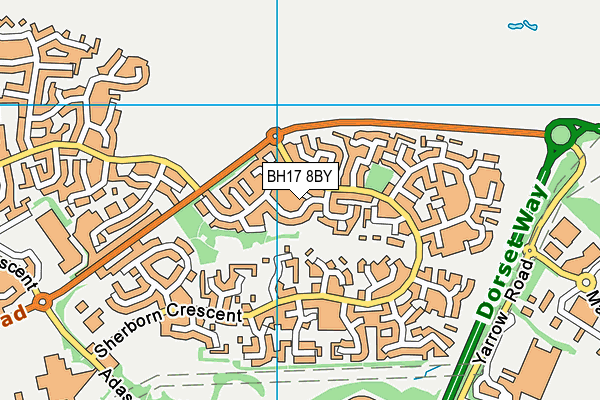 BH17 8BY map - OS VectorMap District (Ordnance Survey)