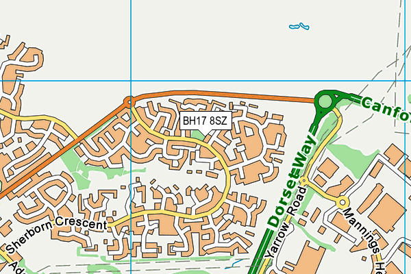 BH17 8SZ map - OS VectorMap District (Ordnance Survey)