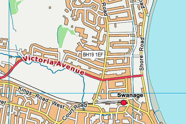 BH19 1EF map - OS VectorMap District (Ordnance Survey)