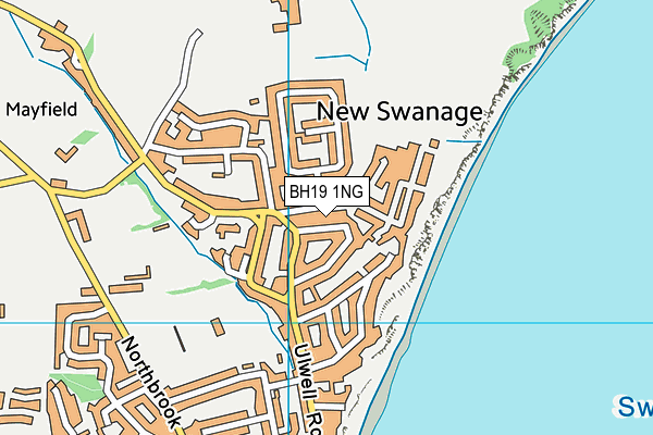 BH19 1NG map - OS VectorMap District (Ordnance Survey)