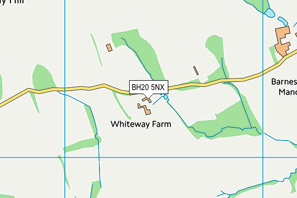 BH20 5NX map - OS VectorMap District (Ordnance Survey)