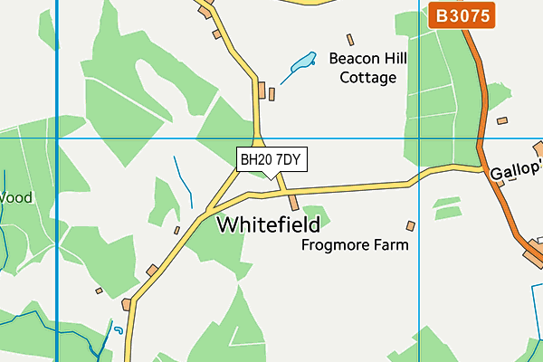 BH20 7DY map - OS VectorMap District (Ordnance Survey)