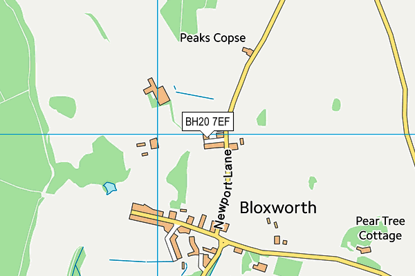 BH20 7EF map - OS VectorMap District (Ordnance Survey)