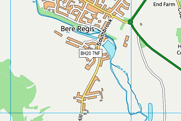 BH20 7NF map - OS VectorMap District (Ordnance Survey)