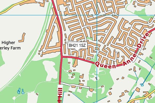 BH21 1SZ map - OS VectorMap District (Ordnance Survey)