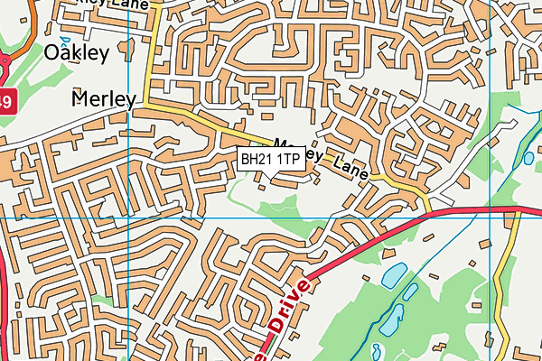 BH21 1TP map - OS VectorMap District (Ordnance Survey)