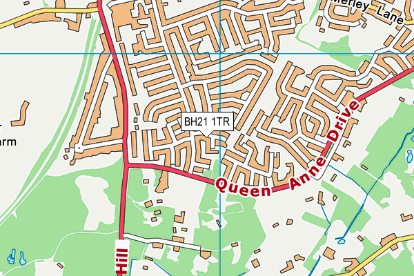 BH21 1TR map - OS VectorMap District (Ordnance Survey)