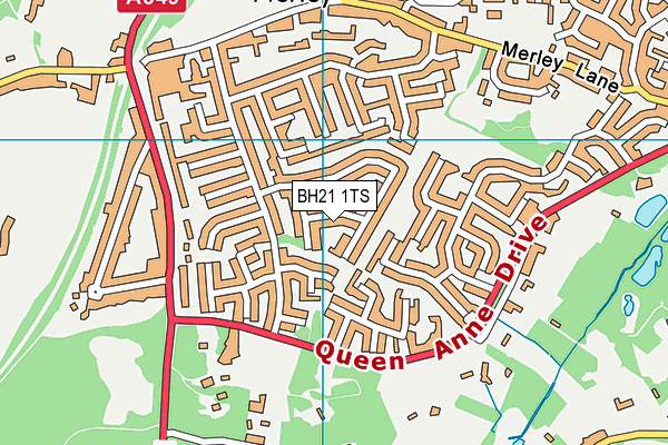 BH21 1TS map - OS VectorMap District (Ordnance Survey)