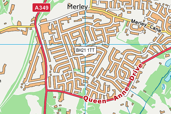 BH21 1TT map - OS VectorMap District (Ordnance Survey)