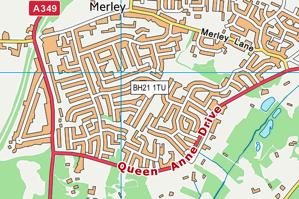 BH21 1TU map - OS VectorMap District (Ordnance Survey)