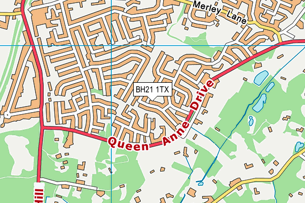 BH21 1TX map - OS VectorMap District (Ordnance Survey)