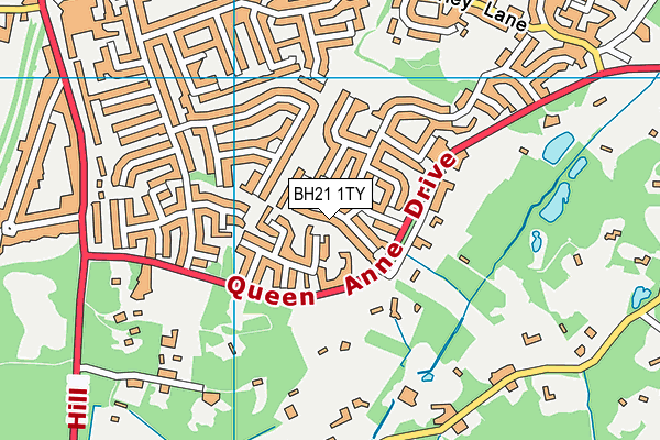 BH21 1TY map - OS VectorMap District (Ordnance Survey)