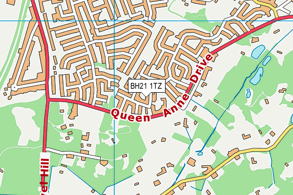 BH21 1TZ map - OS VectorMap District (Ordnance Survey)